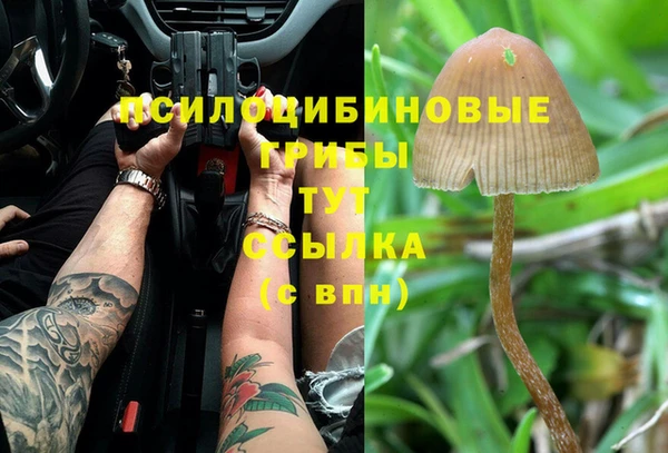 круглые Алексин