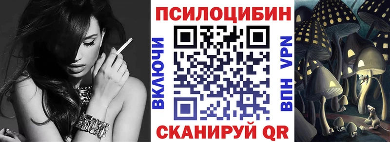 сколько стоит  Пермь  Псилоцибиновые грибы Psilocybine cubensis 