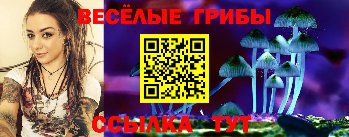 Псилоцибиновые грибы Cubensis  Вход с VPN  Псилоцибиновые грибы мицелий  Пермь 
